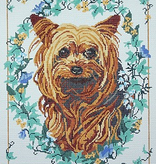 Canvas YORKIE  BR48  SALE  REG $165