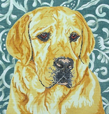 Canvas YELLOW LAB  BR26