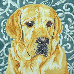 Canvas YELLOW LAB  BR26