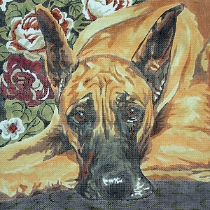 Canvas SALE  -  GREAT DANE BR7 REG $175