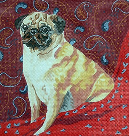 Canvas PUG ON PAISLEY  BR6