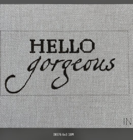 Canvas HELLO GORGEOUS INSERT  IN576  FITS RACHEL BARRE EVERDAY BAG