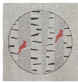 Canvas BIRCH TREES  4"  ROUND  KN17