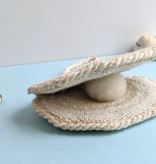 Canvas 3D SHELL WITH "PEARL"  FI057