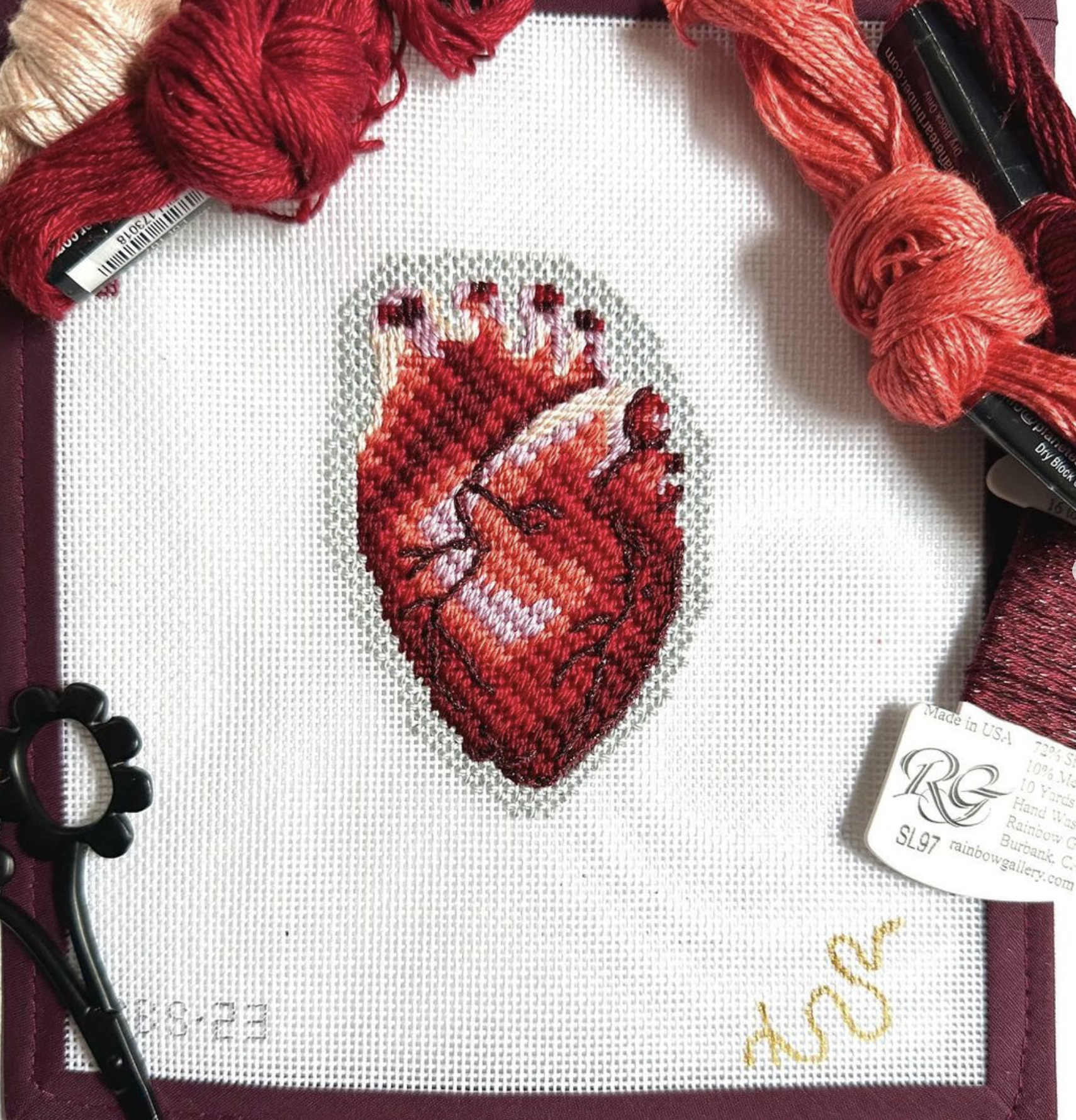 Canvas ANATOMICAL HEART  SBS23