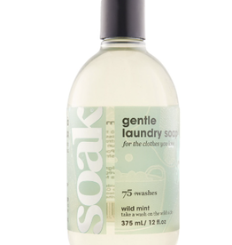 Accessories SOAK 12 OZ  WILD MINT