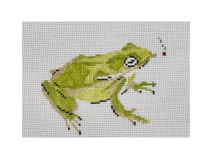 Canvas PARTY ANIMAL - FROG LBL1S