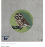 Canvas ROCKY SAW WHET OWL  T13