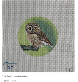 Canvas ROCKY SAW WHET OWL  T13