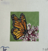 Canvas MONARCH BUTTERFLY ON MILKWEED  5X5"  T20