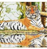 Canvas WILD REFLECTION