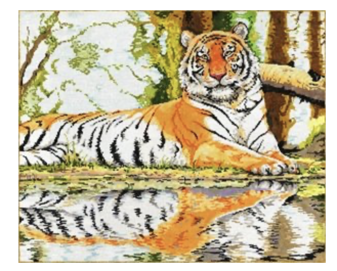 Canvas WILD REFLECTION