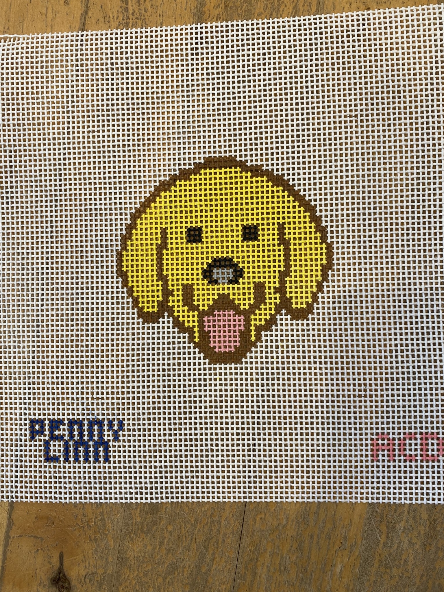 Canvas LARGE MESH TEACHING SERIES  -  DOG  5x5"