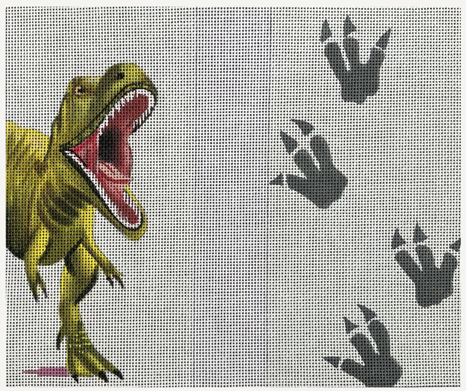 Canvas DINOSAUR TRACKS DOUBLE-SIDED  EYE GLASS CASE  EY239