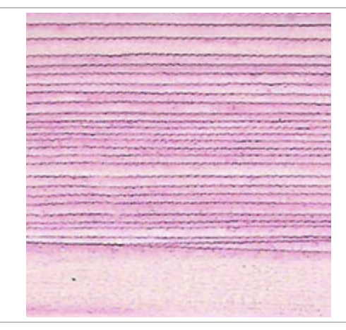 Fibers TILLI THOMAS SILK RIBBONS  7mm  -  SR701  CINDERELLA