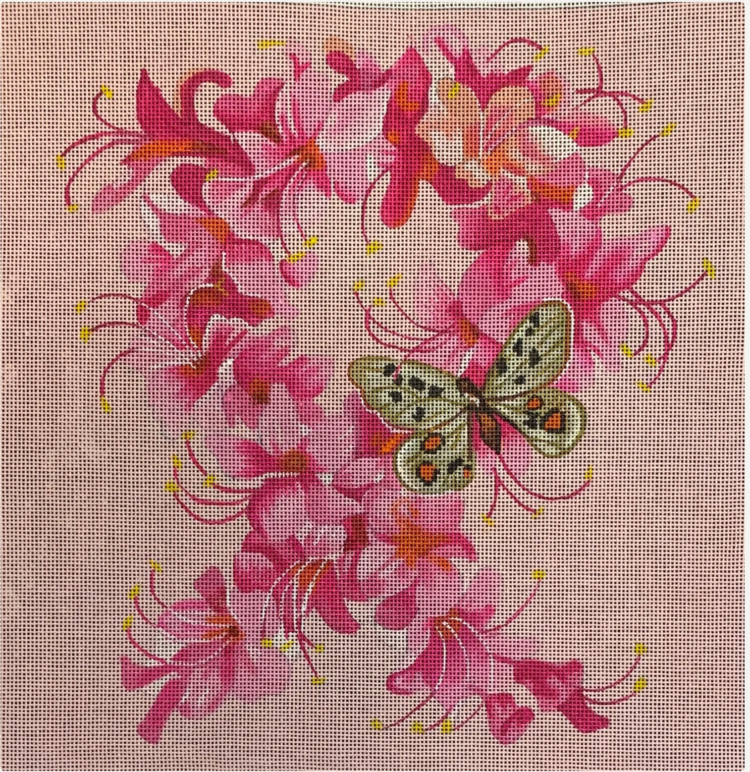 Canvas BUTTERFLY AND  PINK AZALEA RIBBON   FF171   11X11"