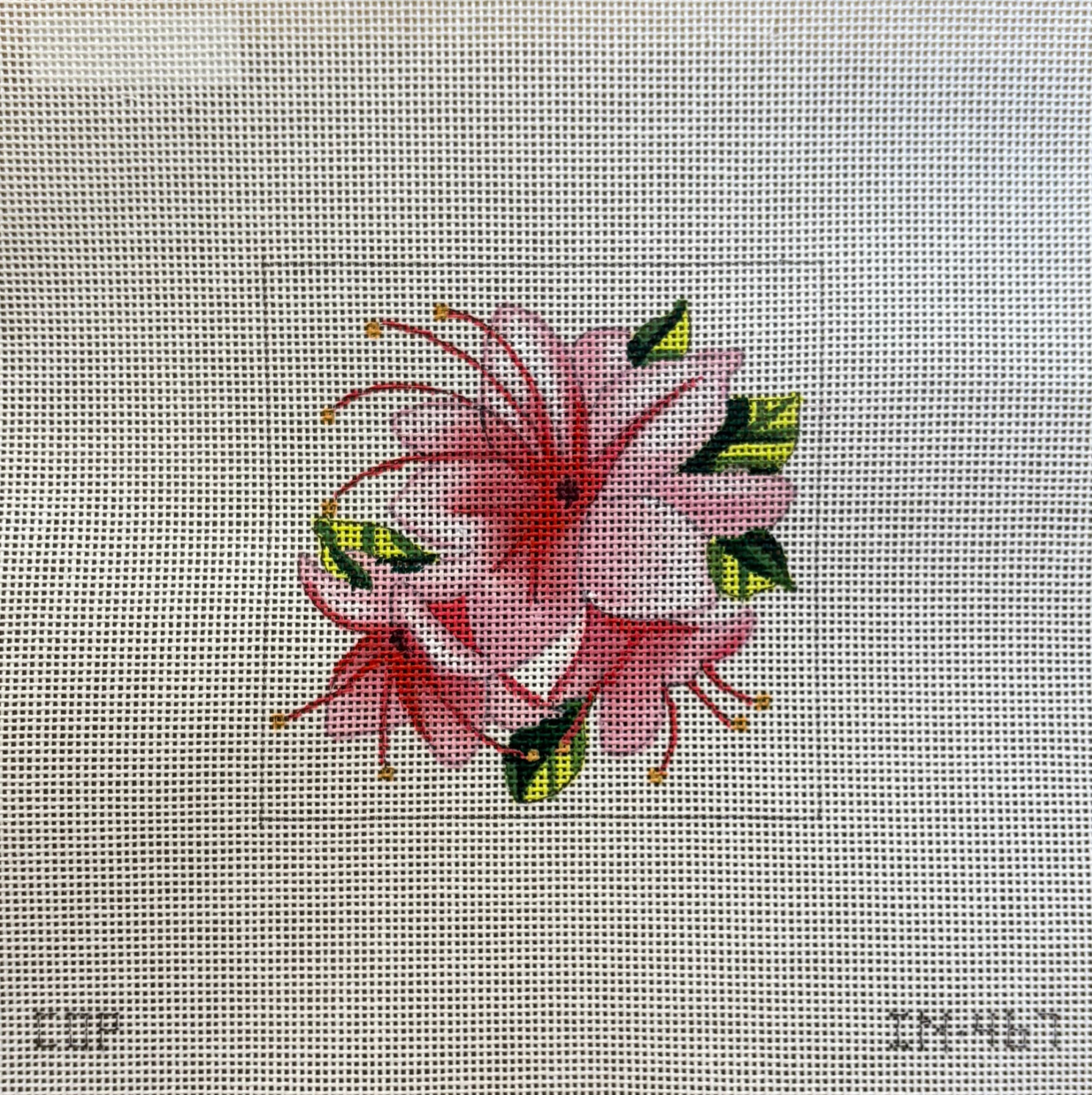 Canvas HIBISCUS INSERT  IN467  4X4"