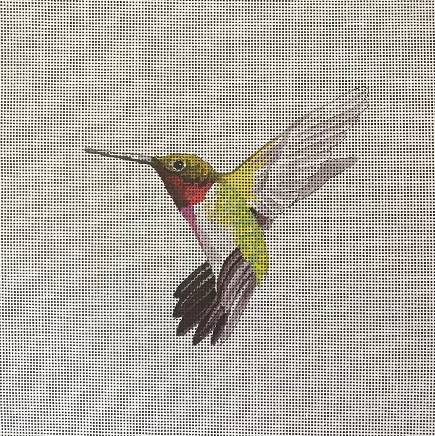 Canvas LIME GREEN  HUMMINGBIRD  AN510   5X4.75"