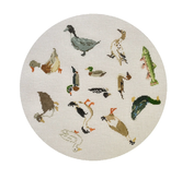Canvas DUCK AROUND AND FIND OUT  36A  9" ROUND