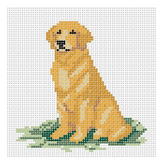 Canvas GOLDEN RETRIEVER   4x4"