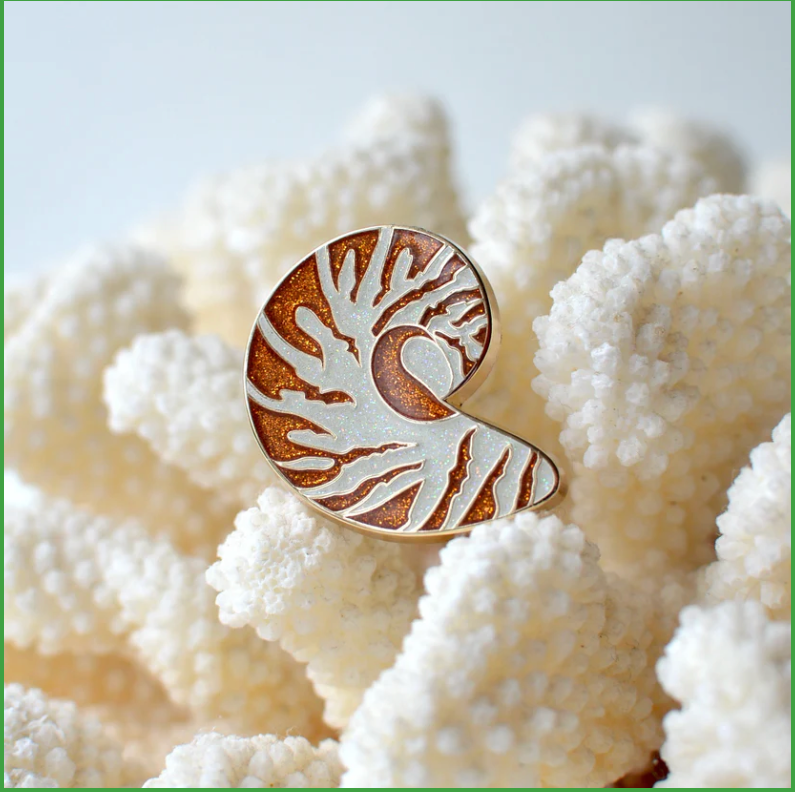 Accessories NAUTILUS SHELL   NEEDLE MINDER