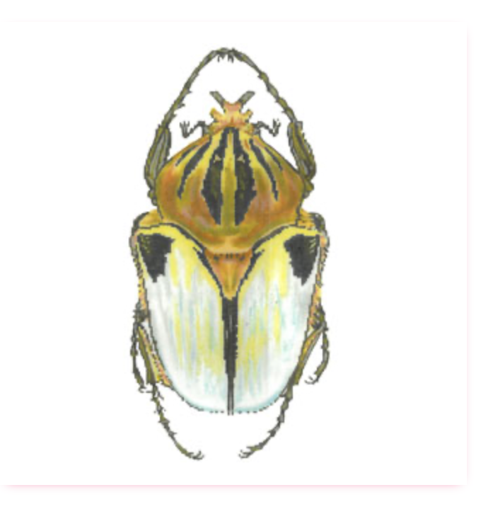 Canvas LITTLE BUG SERIES  -  WHITE AND GOLD  C591GG   8.5X8.5"