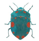 Canvas LITTLE BUG SERIES  -  TEAL WITH ORANGE DOTS  C591HH   8.5X8.5"