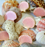 Accessories PINK GLITTER SCALLOP  NEEDLE MINDER