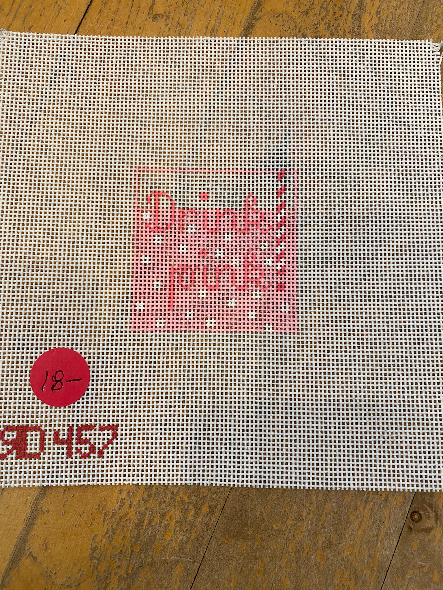 Canvas DRINK PINK INSERT/CHARM  RD457