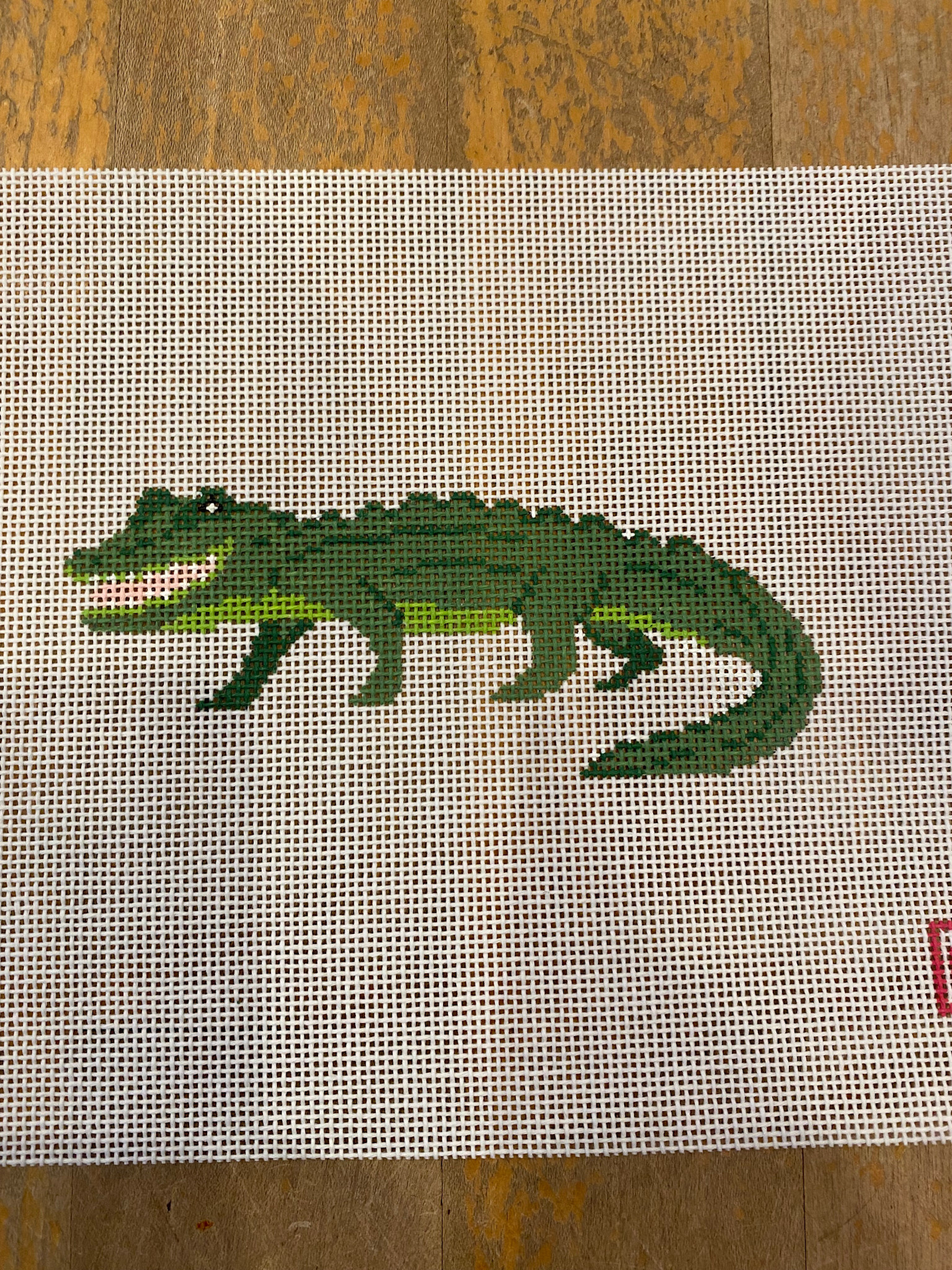 Canvas ALLIGATOR  ADD