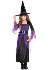 Pretty Potion Witch Girl Costume