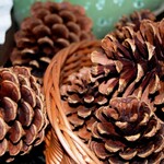 Cinnamon Scented Pinecones