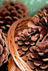 Cinnamon Scented Pinecones