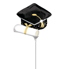 14" Grad Cap & Diploma