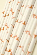 Paper straws Texas longhorn