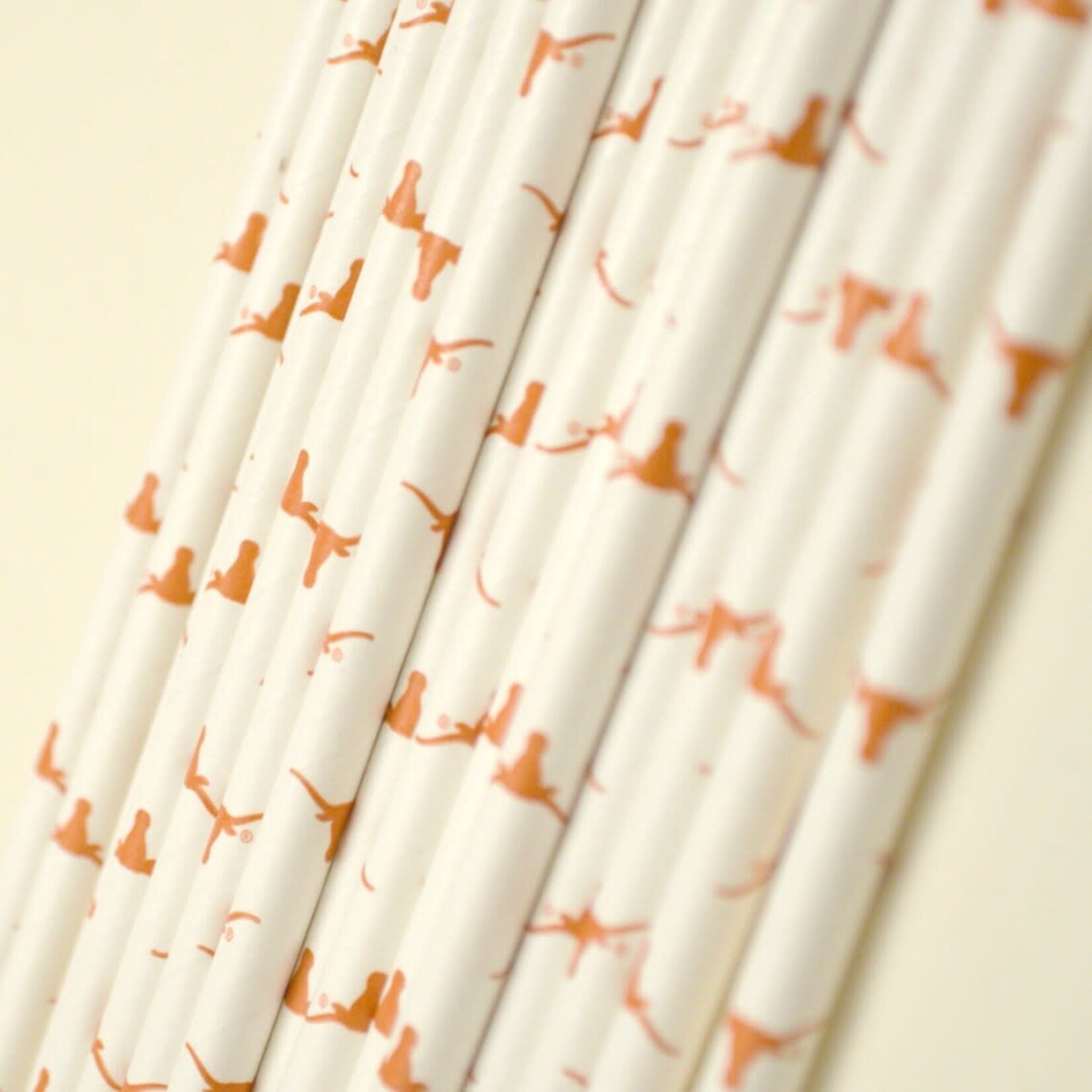 Paper straws Texas longhorn