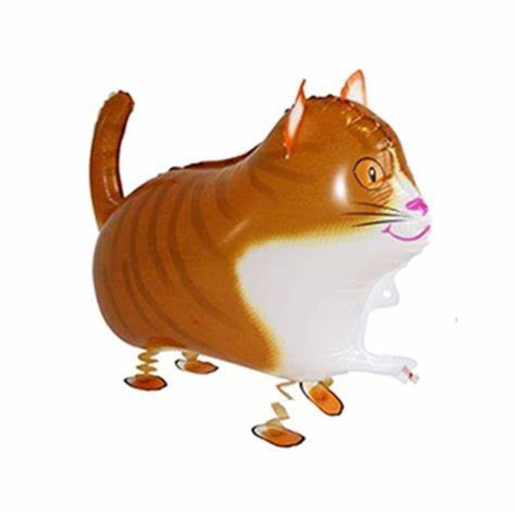 Taglong Pet Cat Balloon