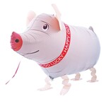 Taglong Pet Pig Balloon
