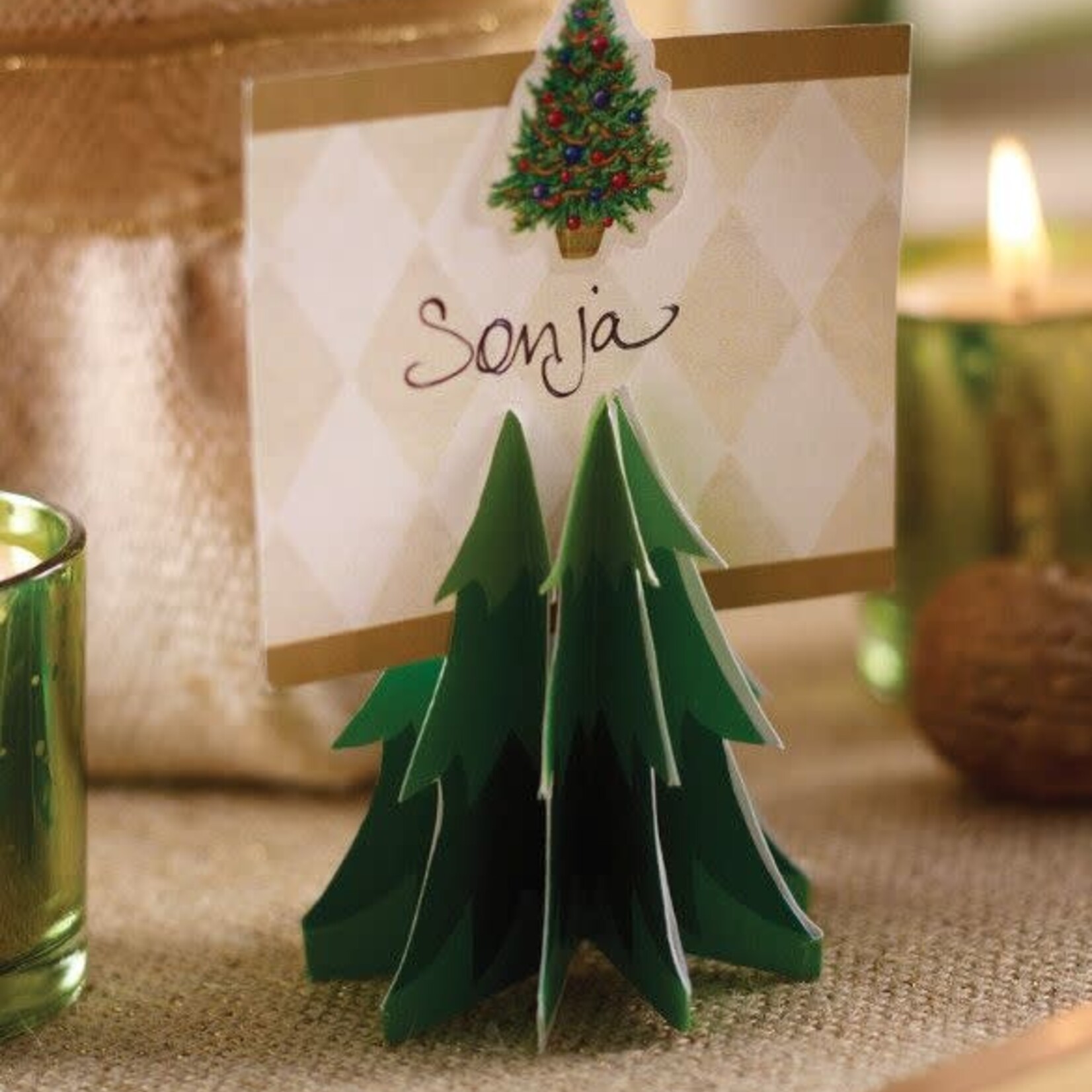 ACCESS Spruced Up Placecards w/ Attachments
