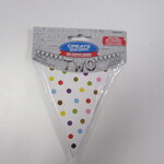 BNR MINI PPR PENNANT RNBW DOTS