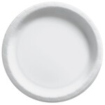 Frosty White Lunch Plates 20pcs