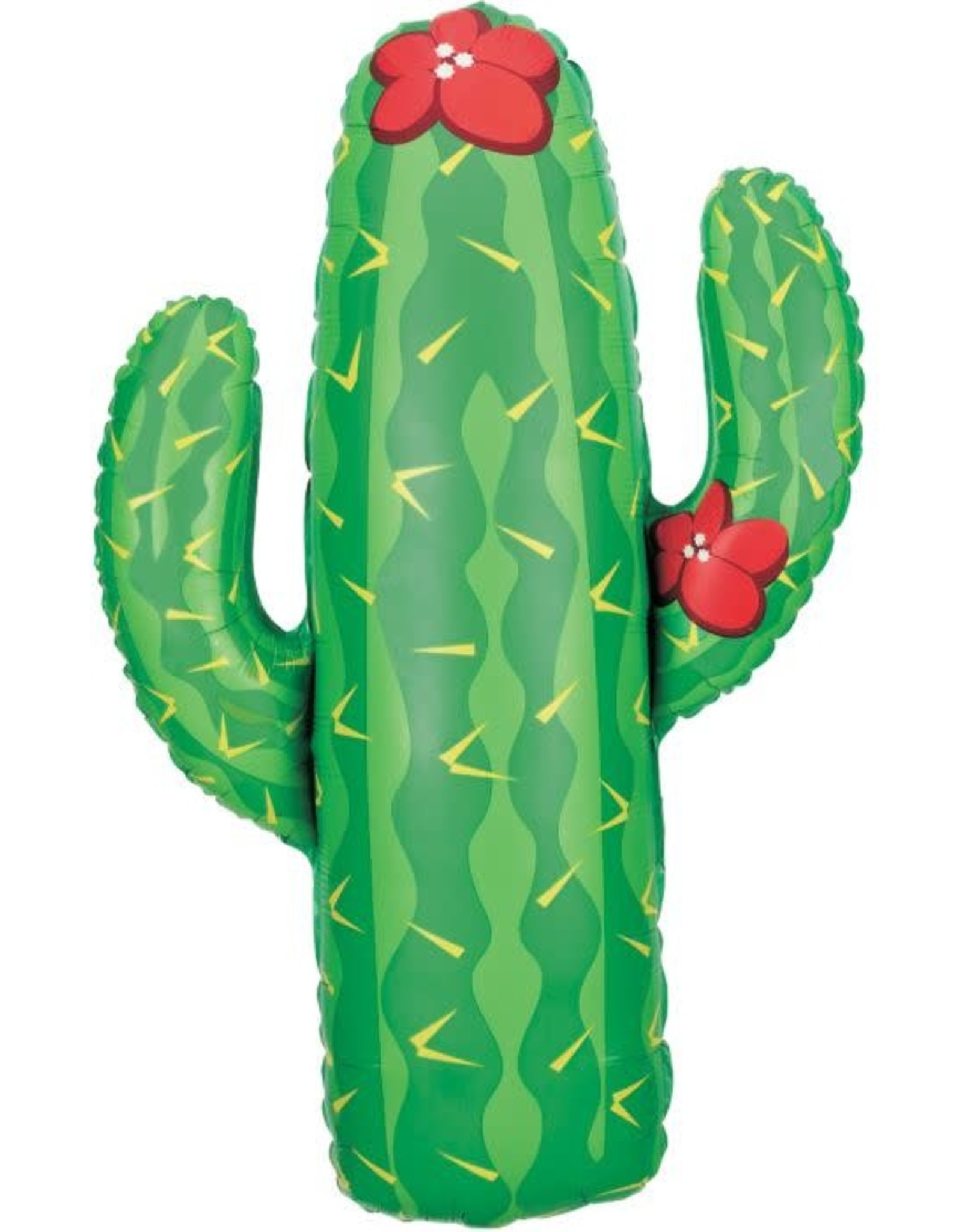 41" Cactus Pkg