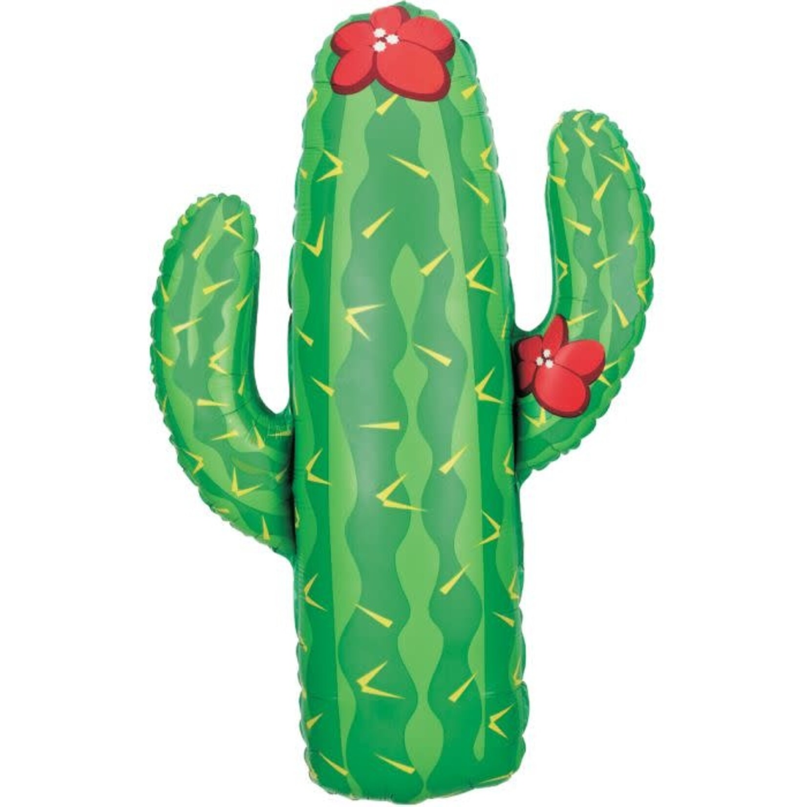 41" Cactus Pkg