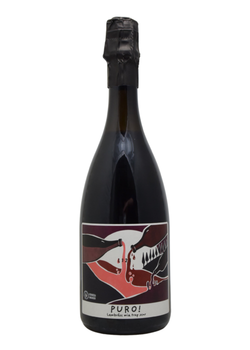 Vitivinicola Fangareggi Vitivinicola Fangareggi "Puro!" Emilia-Romagna Lambrusco Rosso NV