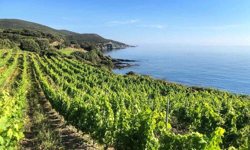 02/29 PETIT WEEK IN WINE - Escape to the Mediterranean Isles