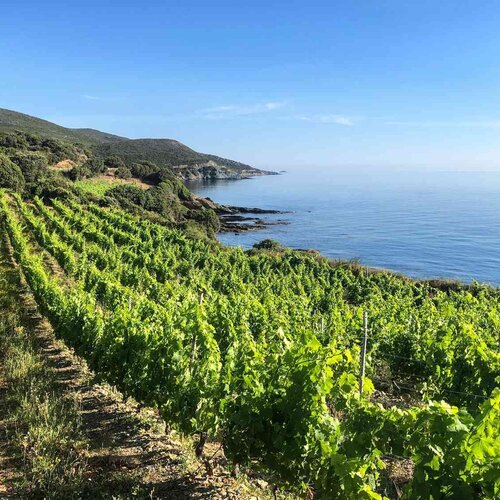 02/29 PETIT WEEK IN WINE - Escape to the Mediterranean Isles