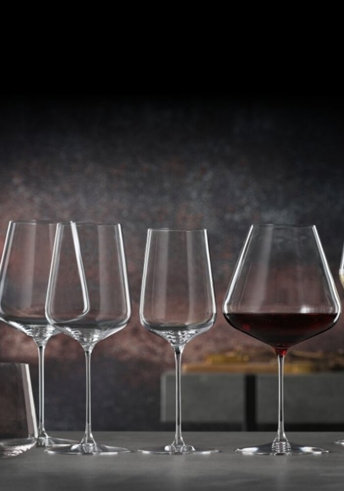 Spiegelau "Definition" Universal Glass (Set of 2)