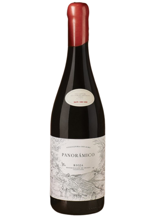 Panoramico Panoramico Rioja Tinto 2020