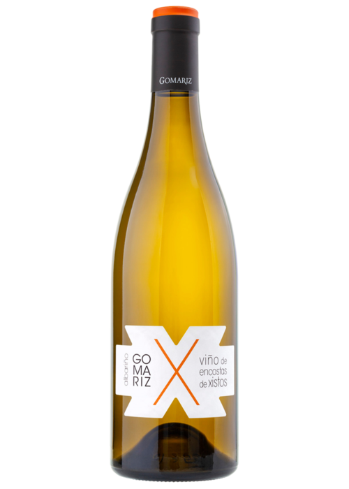 Coto de Gomariz Coto de Gomariz X Vino de Encostas de Xistos AlbariÃ±o 2022