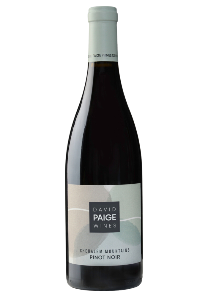 Dave Paige Chehalem Mountains Pinot Noir 2019